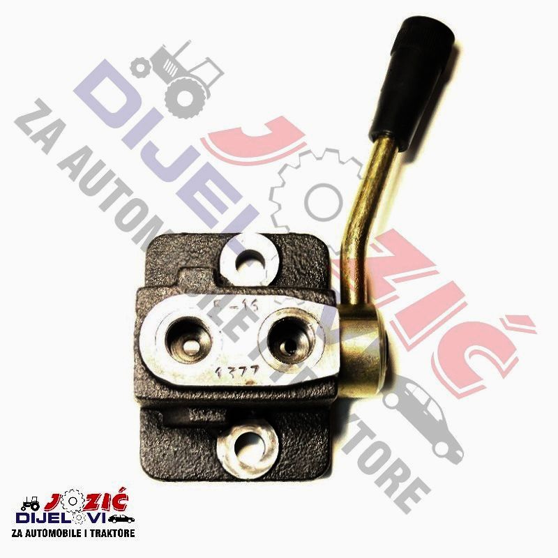 Daisy on the Ohoopee