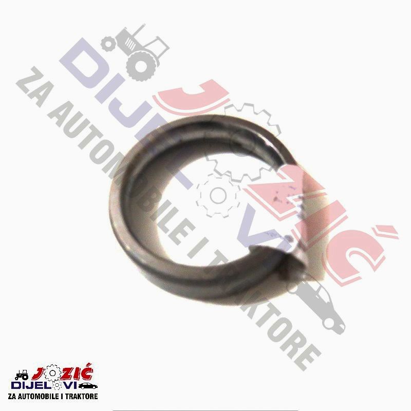 Daisy on the Ohoopee