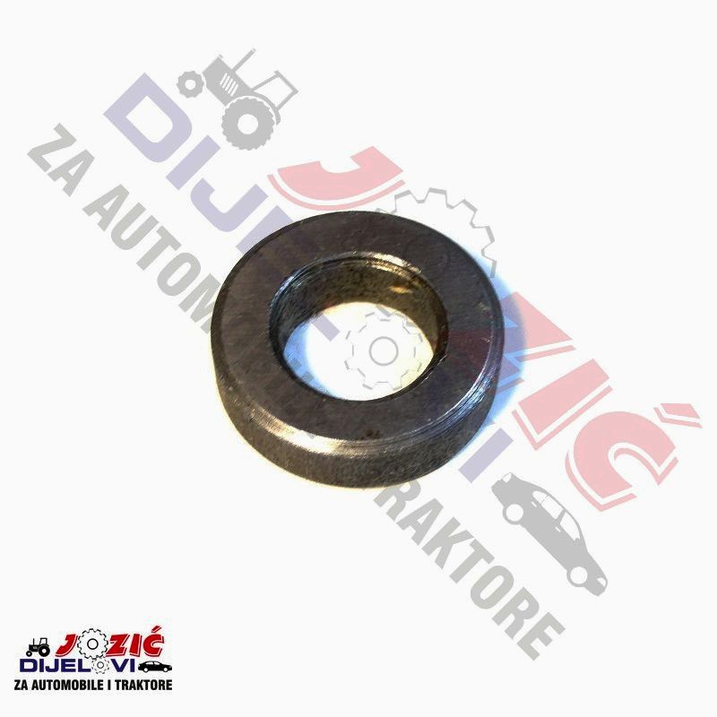 Daisy on the Ohoopee