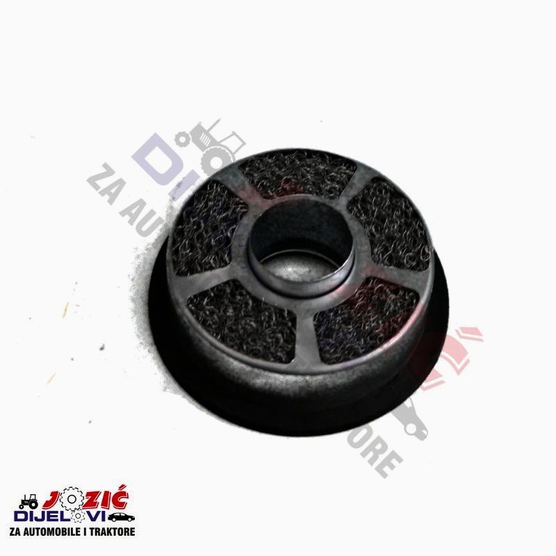 Daisy on the Ohoopee