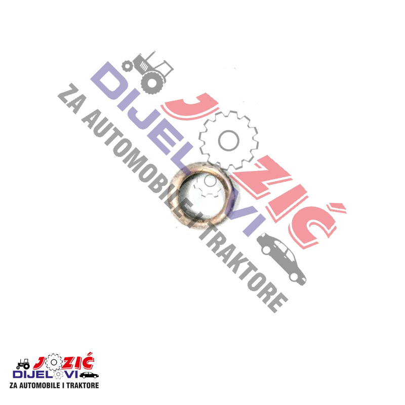 Daisy on the Ohoopee