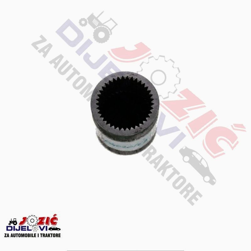 Daisy on the Ohoopee