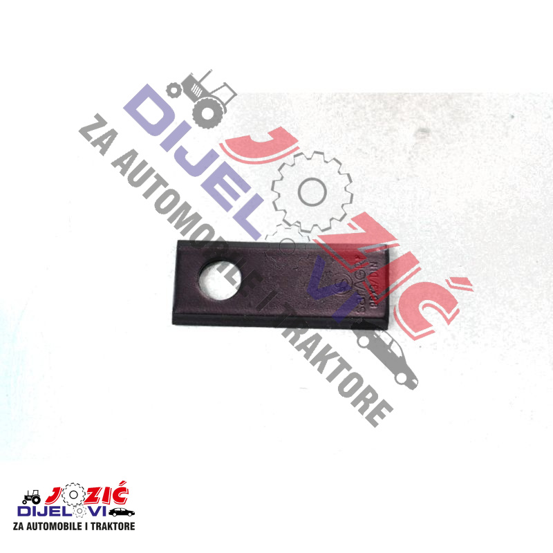 Daisy on the Ohoopee