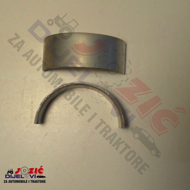 Daisy on the Ohoopee