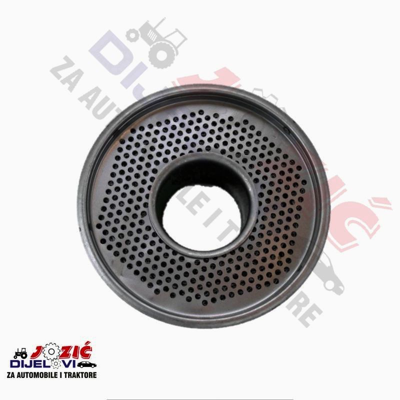 Daisy on the Ohoopee