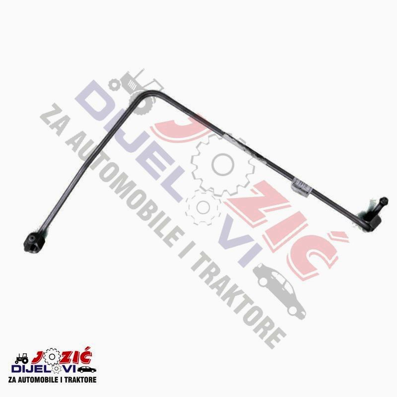 Daisy on the Ohoopee