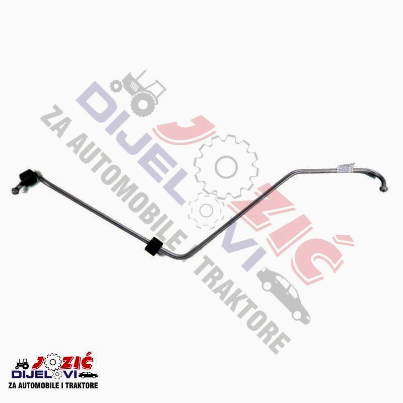 Daisy on the Ohoopee