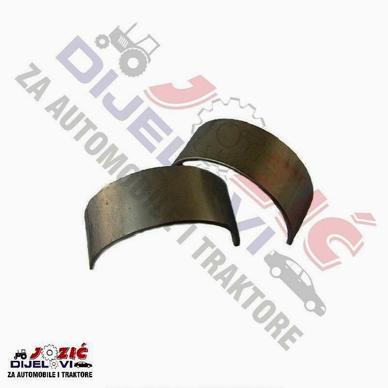 Daisy on the Ohoopee