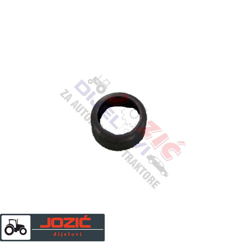 Daisy on the Ohoopee