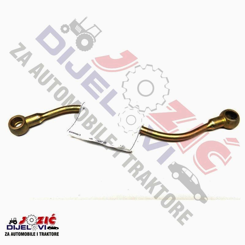 Daisy on the Ohoopee