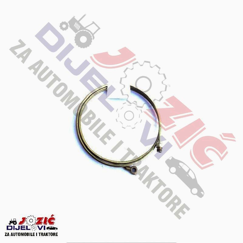 Daisy on the Ohoopee