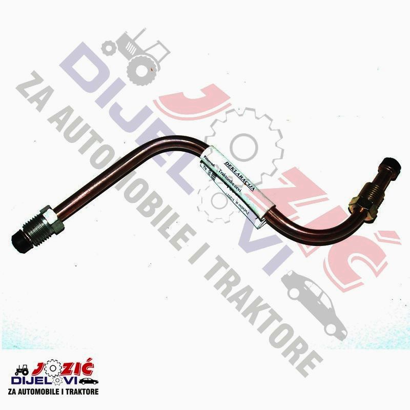 Daisy on the Ohoopee