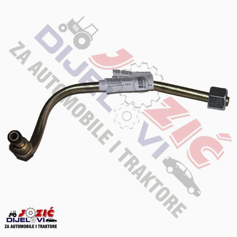 Daisy on the Ohoopee