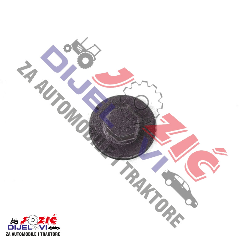 Daisy on the Ohoopee