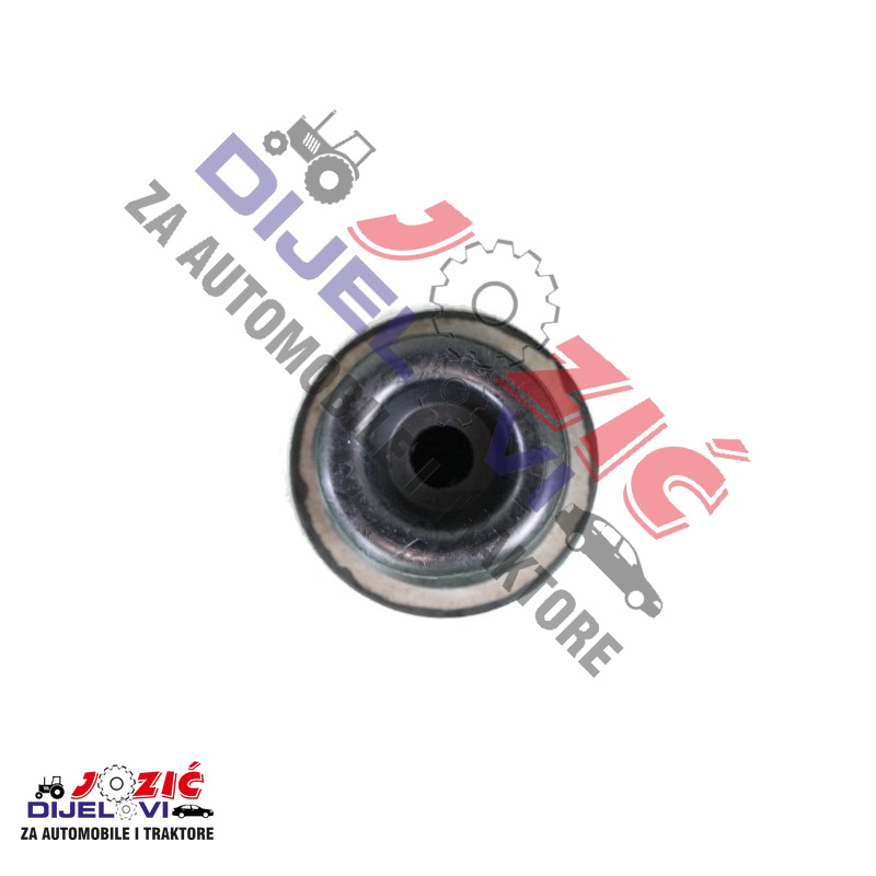 Daisy on the Ohoopee