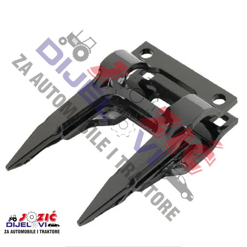 Daisy on the Ohoopee