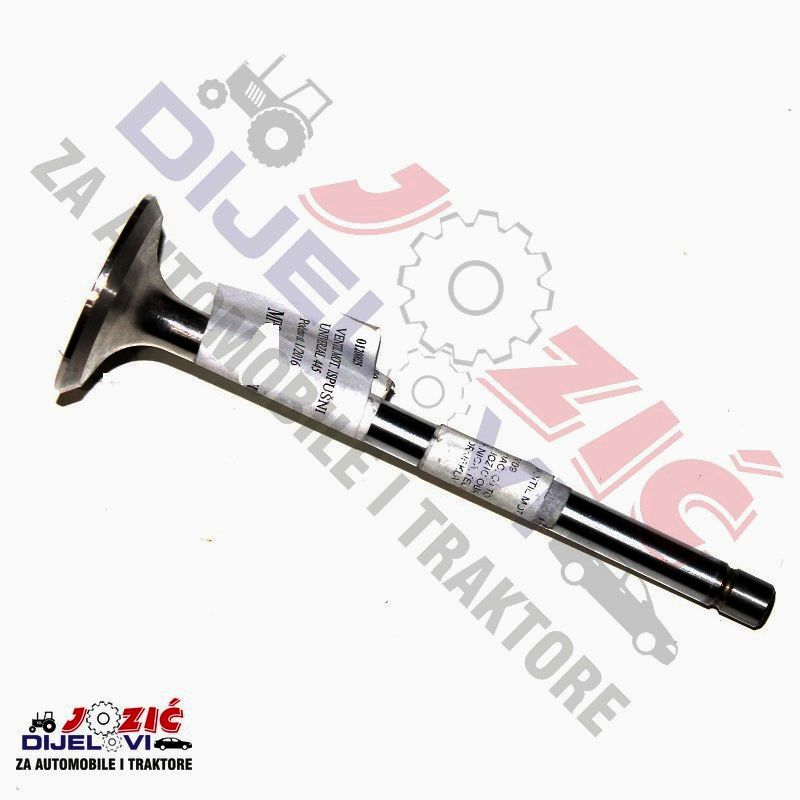 Daisy on the Ohoopee