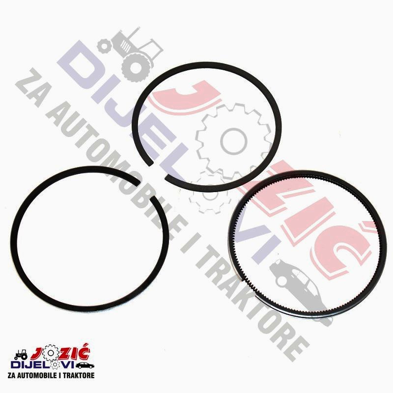 Daisy on the Ohoopee