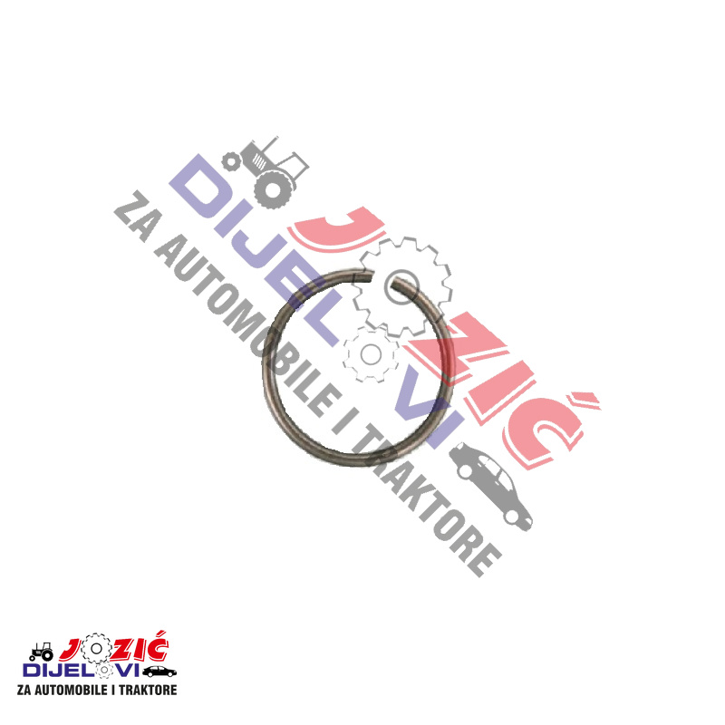 Daisy on the Ohoopee