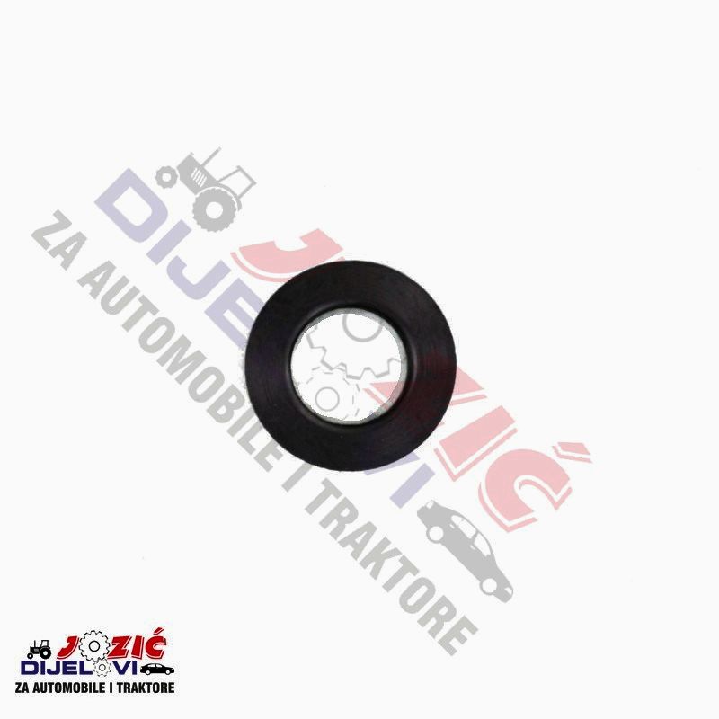 Daisy on the Ohoopee