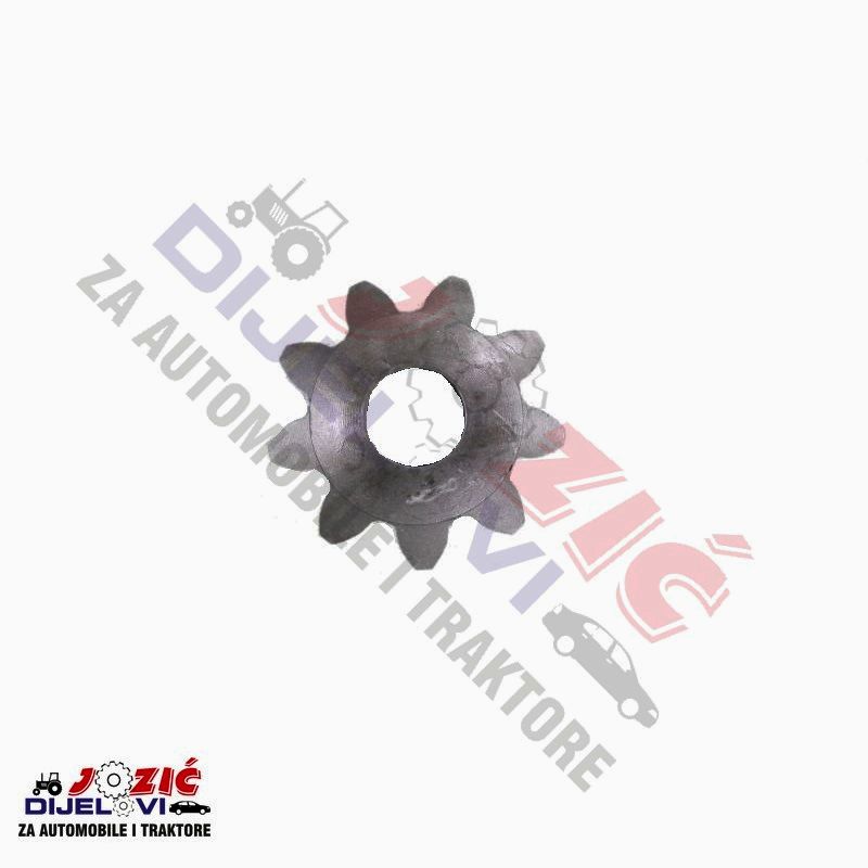 Daisy on the Ohoopee