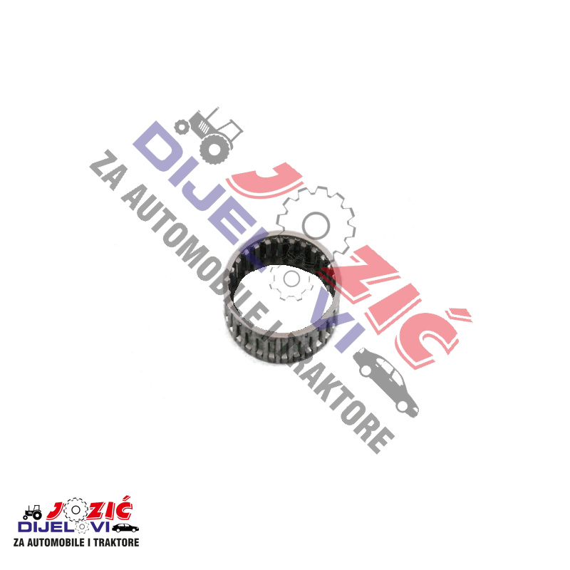 Daisy on the Ohoopee