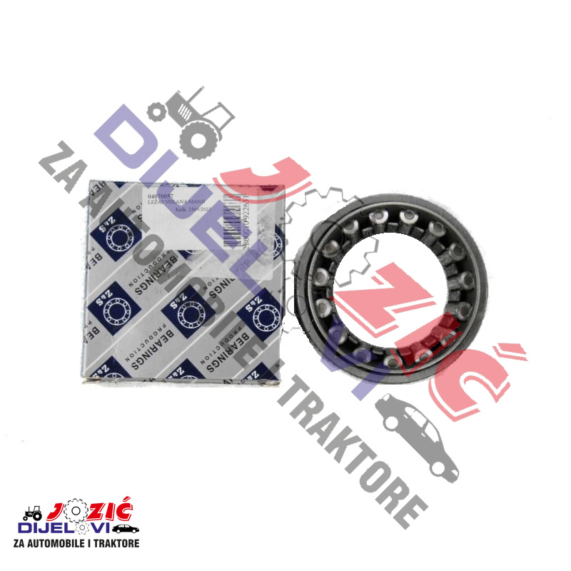 Daisy on the Ohoopee