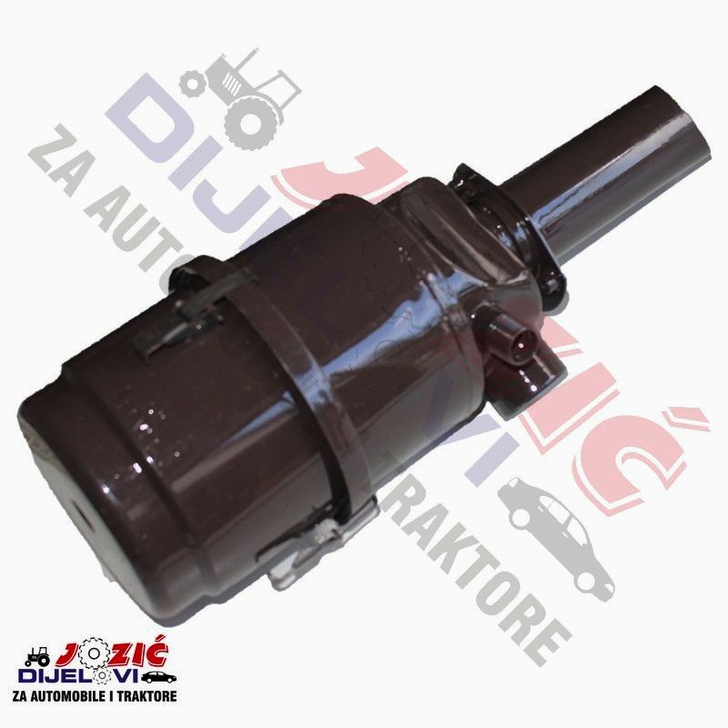 Daisy on the Ohoopee