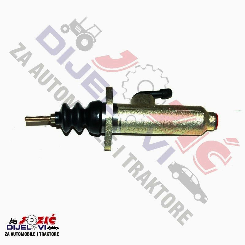 Daisy on the Ohoopee