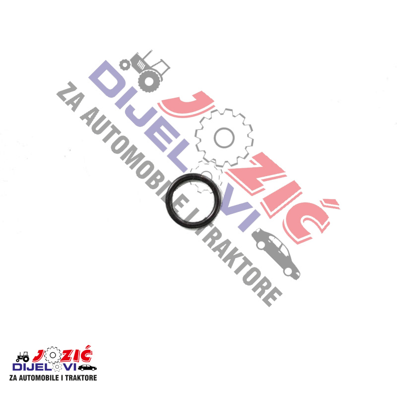 Daisy on the Ohoopee