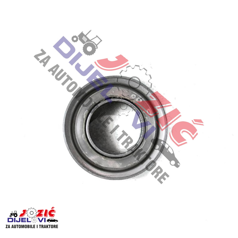 Daisy on the Ohoopee