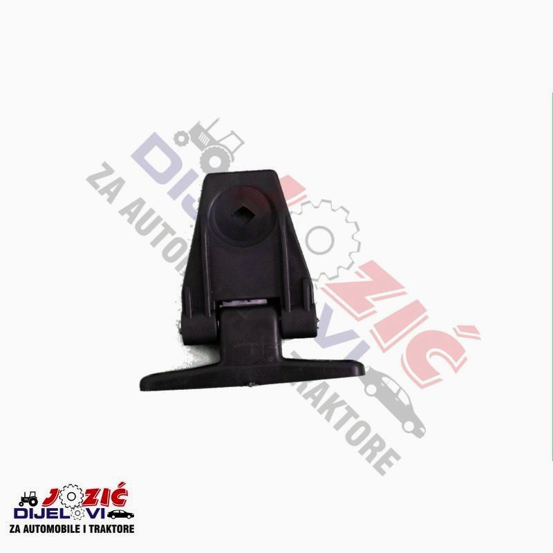 Daisy on the Ohoopee