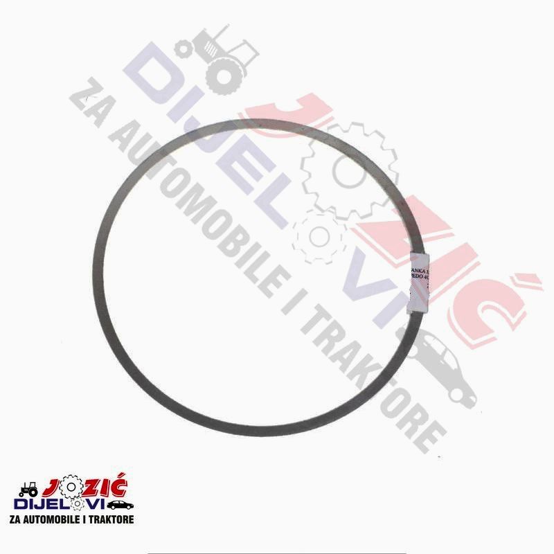 Daisy on the Ohoopee