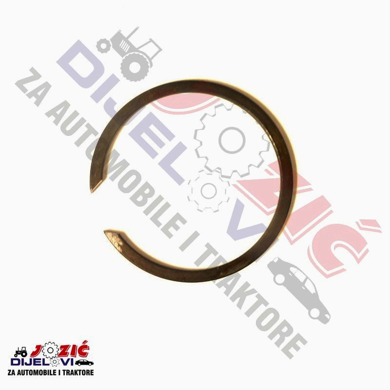 Daisy on the Ohoopee