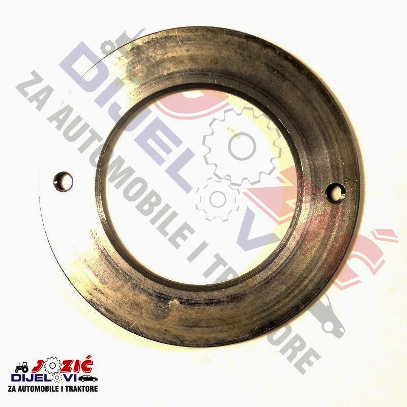 Daisy on the Ohoopee