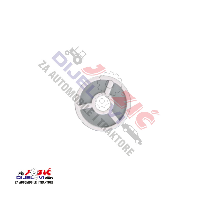 Daisy on the Ohoopee