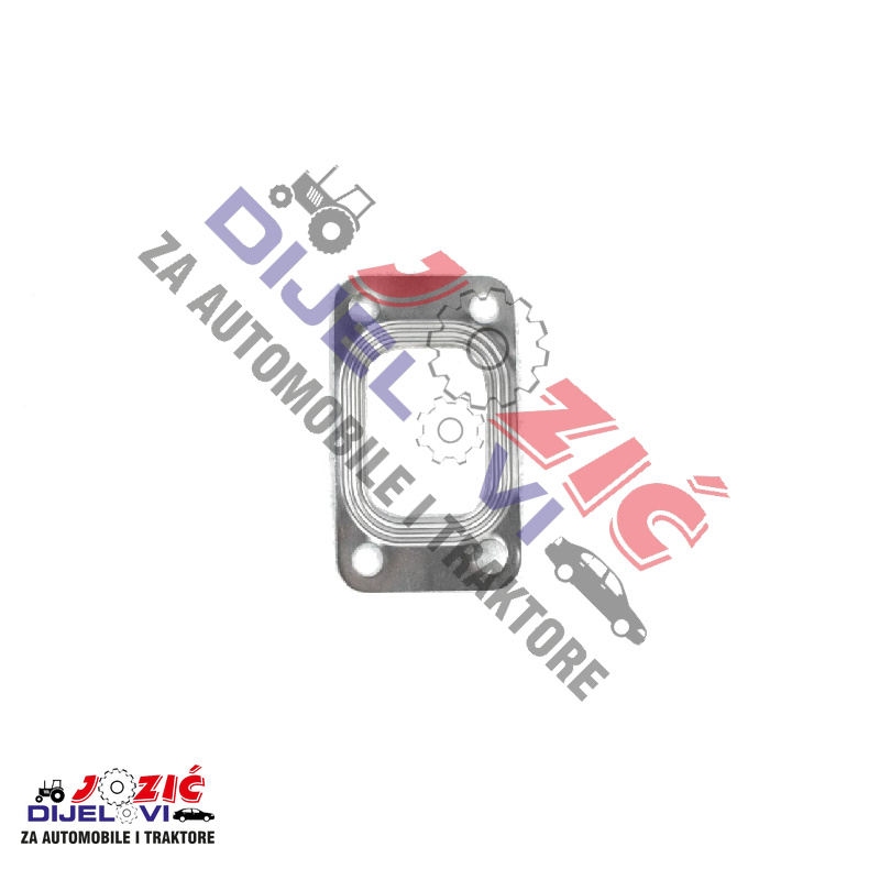 Daisy on the Ohoopee