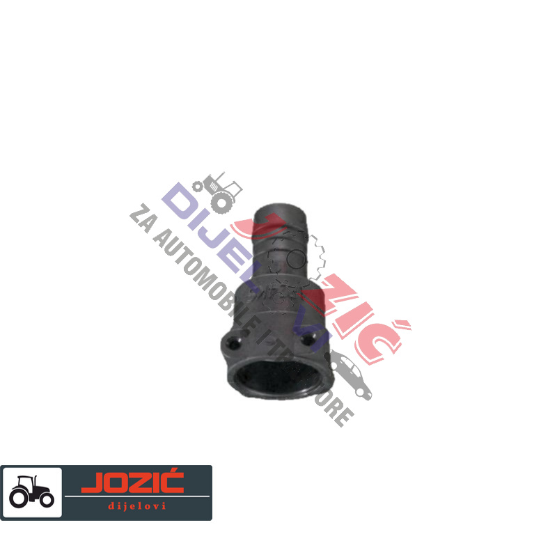 Daisy on the Ohoopee