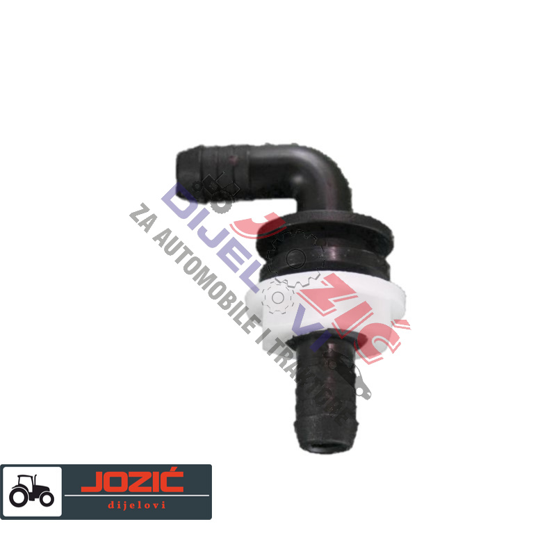 Daisy on the Ohoopee