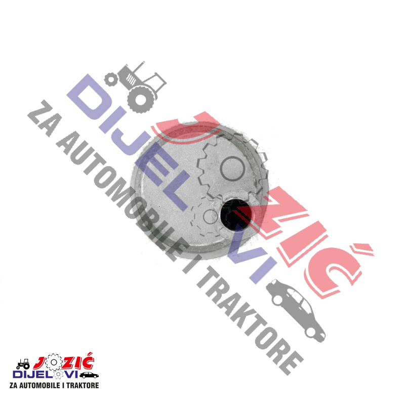 Daisy on the Ohoopee