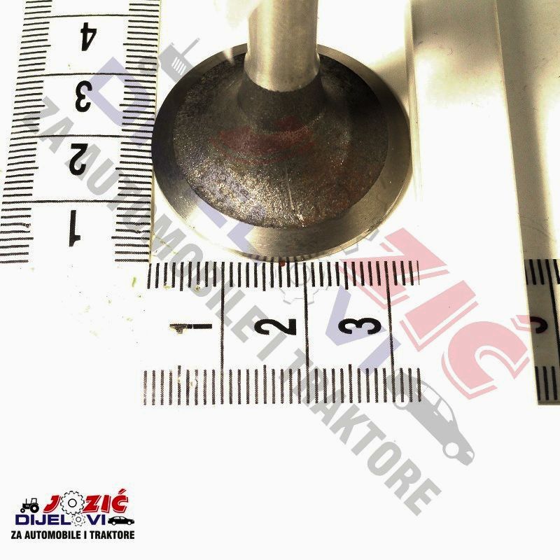 Daisy on the Ohoopee