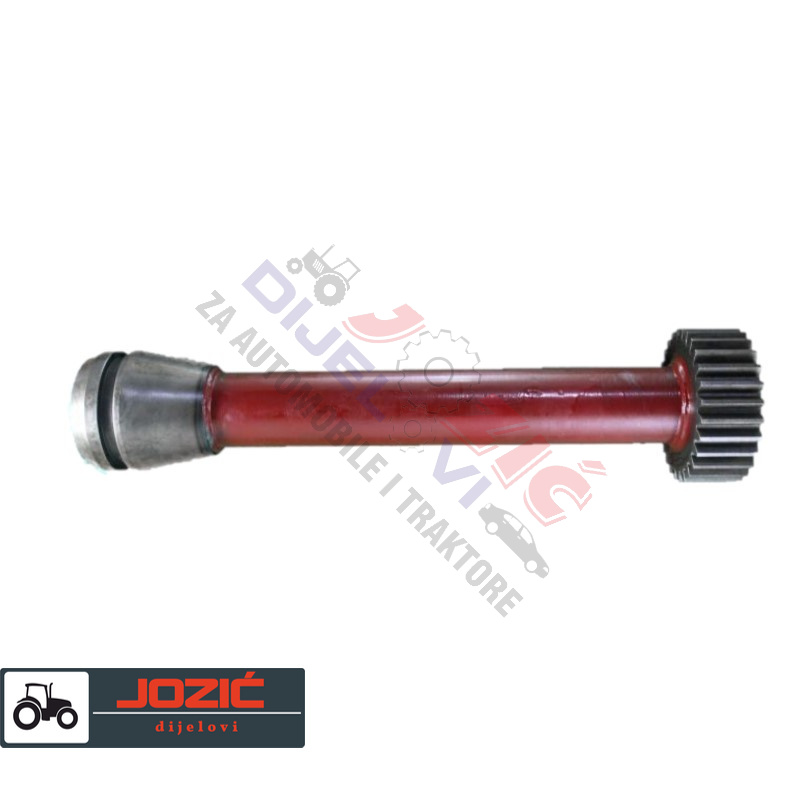 Daisy on the Ohoopee