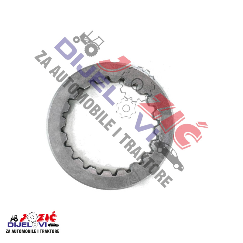 Daisy on the Ohoopee