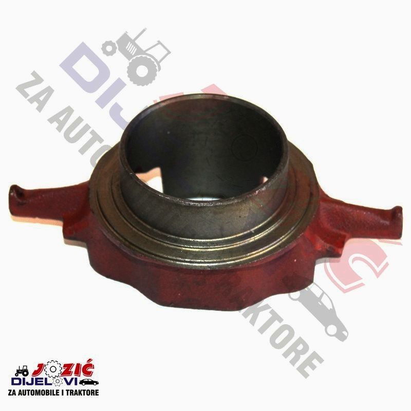 Daisy on the Ohoopee