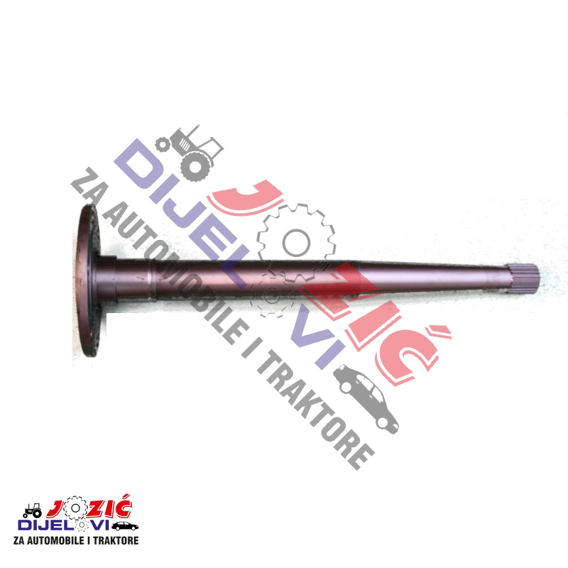 Daisy on the Ohoopee