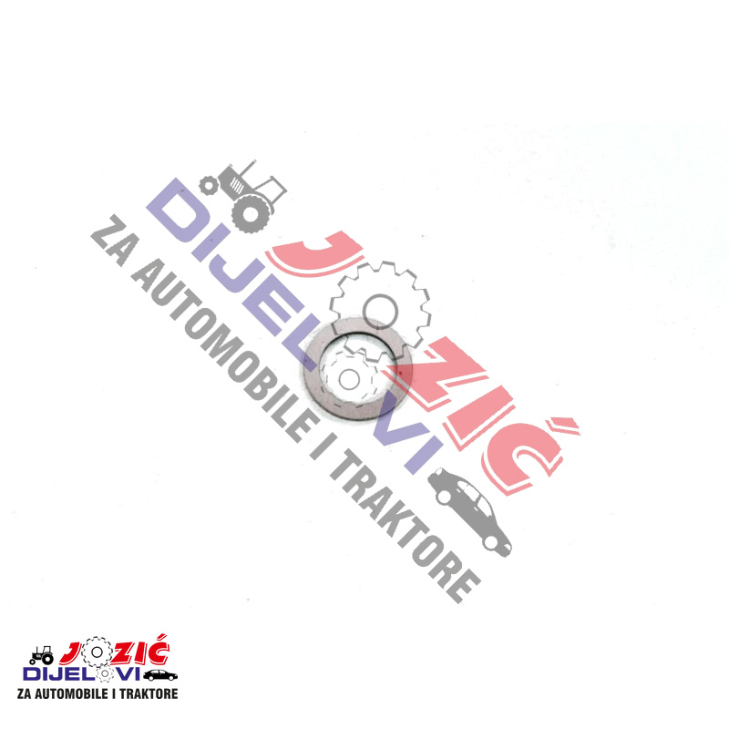 Daisy on the Ohoopee