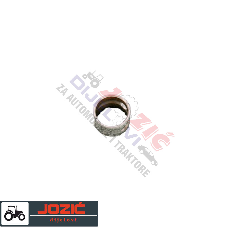 Daisy on the Ohoopee