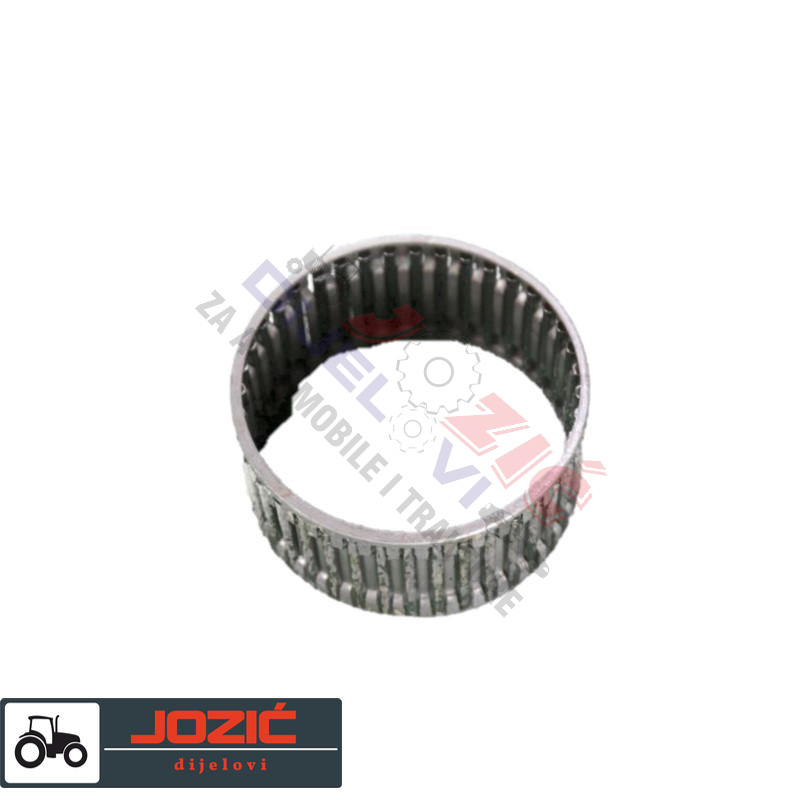 Daisy on the Ohoopee