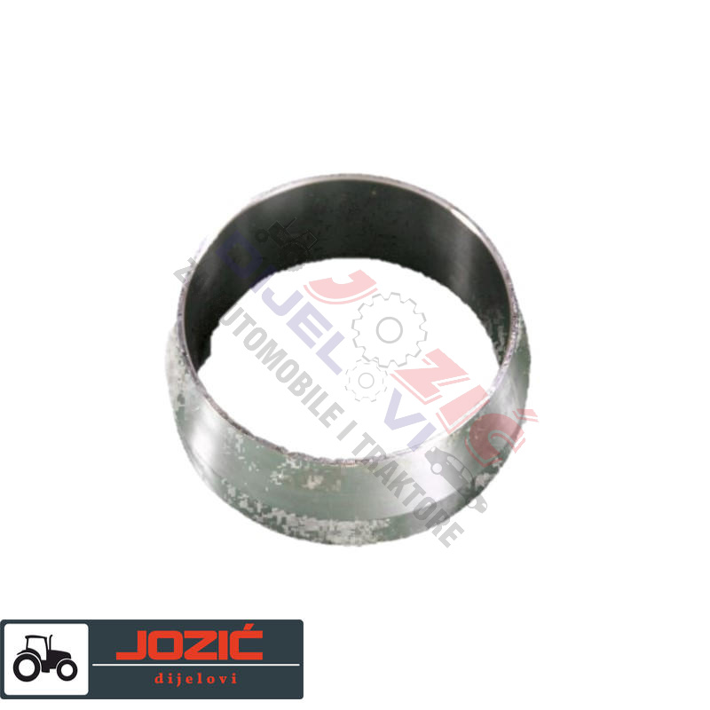 Daisy on the Ohoopee