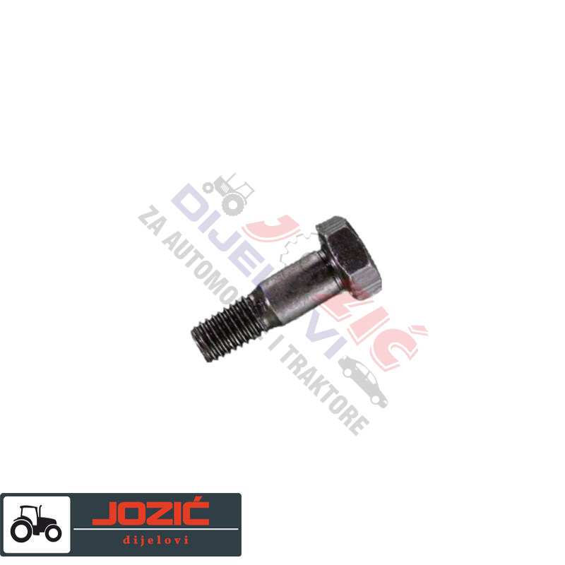 Daisy on the Ohoopee